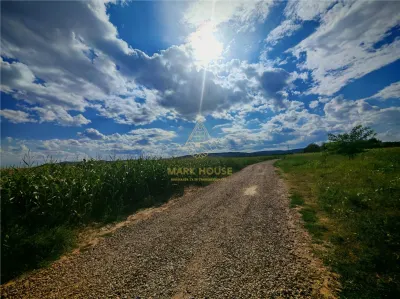 Teren extravilan de vânzare, 6.400 mp, Măgura - foto 4