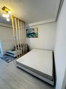 Garsoniera zona IANCULUI - Bucuresti