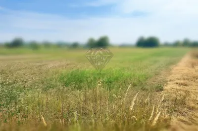 Teren intravilan de vanzare Lipanesti, parcelabil in loturi de 1000 mp - foto 3