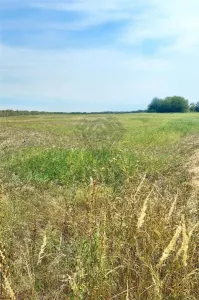 Teren intravilan de vanzare Lipanesti, parcelabil in loturi de 1000 mp - foto 4