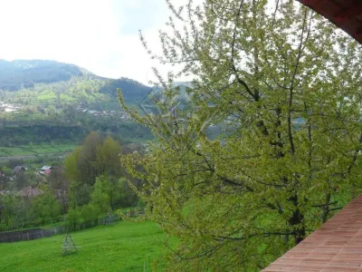 Vila deosebita cu 7 camere si 5 bai, 4290 mp teren, vedere panoramica – Valea Doftanei - foto 12
