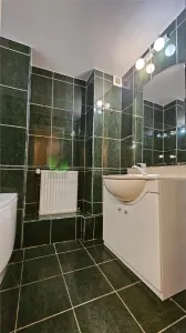 Apartament 3 camere Centrul Civic,renovat,vedere Tampa,158000 Euro - foto 12