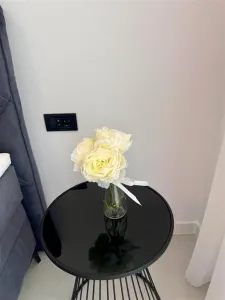 Inchiriere apartamet 2 camere bloc nou, Paulesti - foto 18