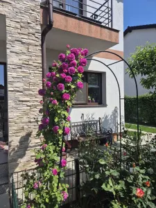 Casa tip duplex Sanpetru,lux,mobilata.210000 Euro - Sanpetru