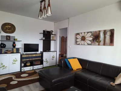 Apartament cu 2 camere Astra,renovat,mobilat modern,92000 Euro - Brasov