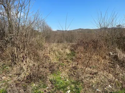 Vanzare teren intravilan, Scorteni, judetul Prahova - foto 4