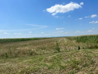Oportunitate!Vanzare teren intravilan Baicoi,zona Infratirii, - foto 9