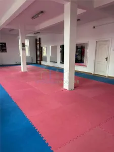 Spatiu comercial Vl Rosie - foto 2