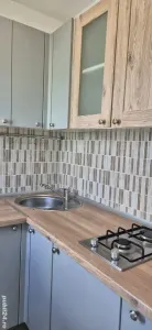 GARSONIERA BARTOLOMEU , STR. LANII - foto 4