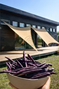 Casa Poiana cu Cetate Iasi + 2800 mp teren - foto 15