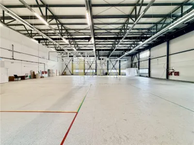 Hala industriala premium cu birouri | Parc Industrial Vest | Acces TIR - foto 4