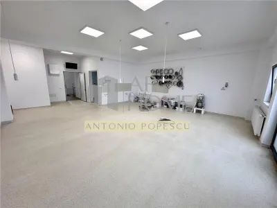 Vanzare spatiu comercial si curte generoasa, in Paulestii Noi - foto 9