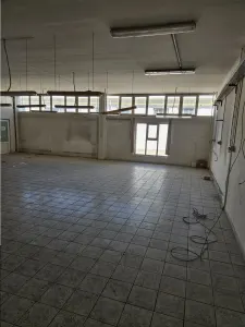 Spatiu Industrial - 3000 mp - Productie - Depozitare - Distributie - foto 16