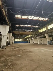 Spatiu Industrial - 3100 mp - Productie - Depozitare - Distributie - foto 7