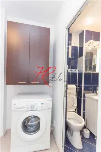Vanzare apartament 2 camere renovate, Teiul Doamnei - foto 7