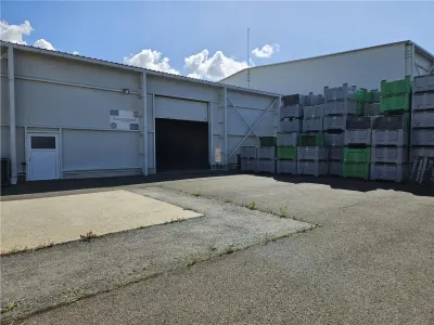 Spatii Frigorifice - 2000 mp - Depozitare - Refrigerare - foto 19
