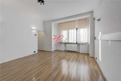 Vanzare apartament 4 camere Dorobanti-Romana - renovat - foto 4