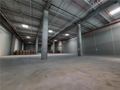 Spatii Industriale - 8000 mp - Logistica - Productie - Depozitare - foto 4