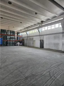 Spatiu Industrial - 550 mp - Depozitare - Distributie - foto 18
