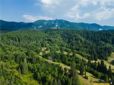 Film! Teren cu destinatie turistica si agrement, Poiana Brasov - Rasnov - foto 5