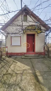 VIDEO | Teren generos, cu livada si casa de vacanta in Satu Mare - foto 5