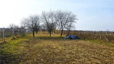 VIDEO | Teren generos, cu livada si casa de vacanta in Satu Mare - foto 8