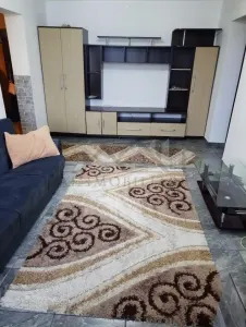 Apartament 3 camere Podu Ros - foto 4