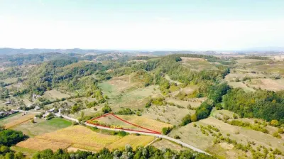 VIDEO | Teren 5.194 m² | 181 metri front la strada Principala (DJ 182C) | Servicii - foto 2