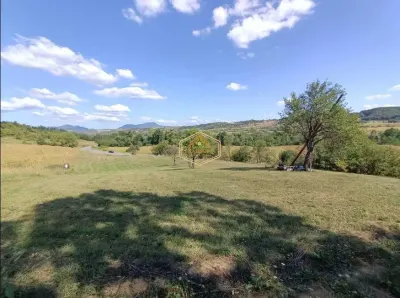 VIDEO | Teren 5.194 m² | 181 metri front la strada Principala (DJ 182C) | Servicii - foto 5