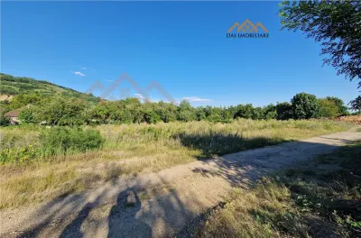 Casa veche cu teren de 59 ari, intravilan, Ilba  ( 20 km de Baia  Mare) - foto 5