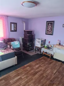 Ciurbesti Casa batraneasca cu TEREN 1347mp - foto 9