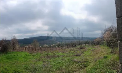 Aroneanu - Dorobant TEREN 46000mp PUZ realizat 59 de case la str principala cu toate utilitatile - foto 5