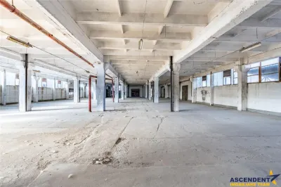 Spatii de depozitare, infrastructura potrivita pentru dezvoltarea afacerii tale - foto 24