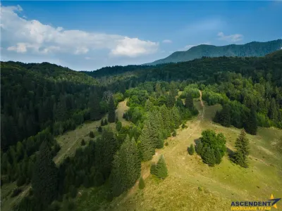 Film!!Punct de intalnire cu natura! Poiana Brasov - Rasnov,350.000mp,destinatie turistica si agrement - foto 6