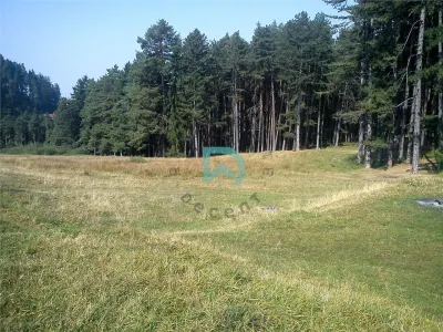 Teren Poiana Angelescu, Sacele, Brasov - foto 4
