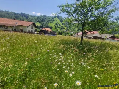 Teren 1.450 mp intravilan, la DN, cu priveliste de carte postala, Bran, Moieciu, Brasov - foto 21
