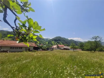 Teren 1.450 mp intravilan, la DN, cu priveliste de carte postala, Bran, Moieciu, Brasov - foto 25