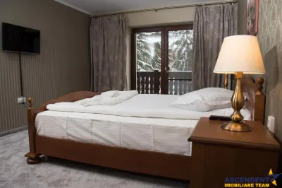 Eleganta si stil, in peisagistica montana, Rezidential/ Pensiune, Predeal, Brasov - foto 2