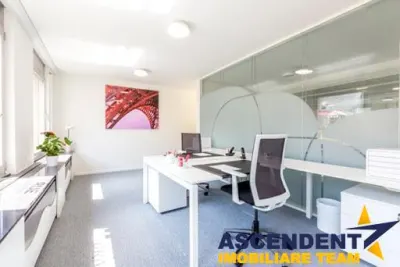 Vila impunatoare cu potential rezidential sau comercial – Brasov - foto 7