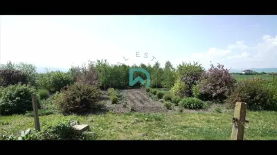 Oportunitate investitie Brasov - foto 3