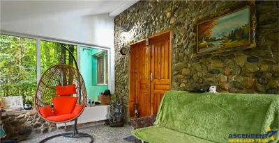 In cartea de povesti a Pietrei Craiului, ansamblul turistic functional,Plaiul Foii - foto 7