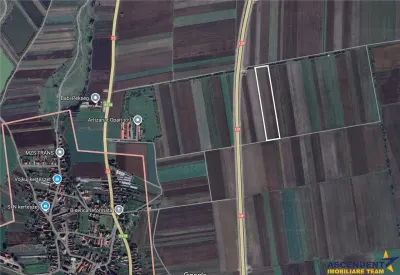 Teren extravilan pe 11.700mp, Coseni, Covasna - foto 2