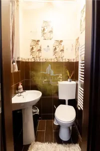 Ciarda Rosie - Casa individuala , 5 camere , 3 bai , teren 600mp - foto 11