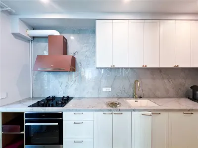 Apartament 3 camere de vanzare Gradina Icoanei - foto 10