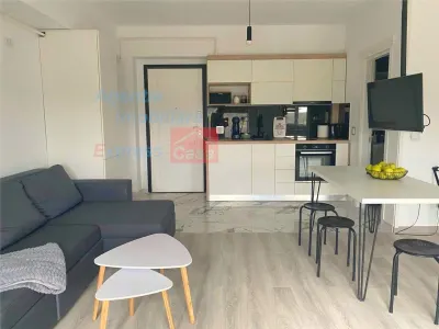 Garsoniera de vanzare | Tatarasi | Renovata complet - foto 4