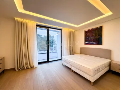 Apartament de inchiriat 4 camere Kiseleff - foto 18