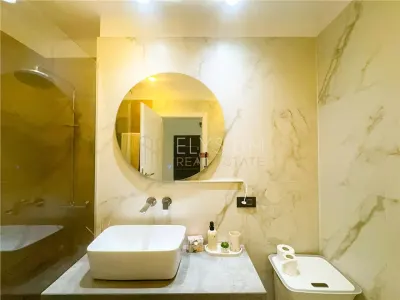 Apartament de vanzare 2 Camere Parcul Circului - foto 17