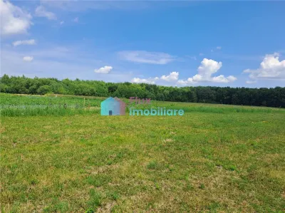 Teren 60 ari in Calugareni- Adancata - foto 8