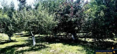 Pe domeniu de 20.000 mp, resedința din provincie, a nobililor feudali - foto 20