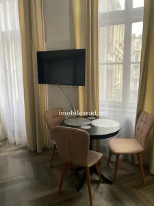 Apartament 60 Euro pe zi, amenajat in stil unic langa Primaria Arad - foto 5